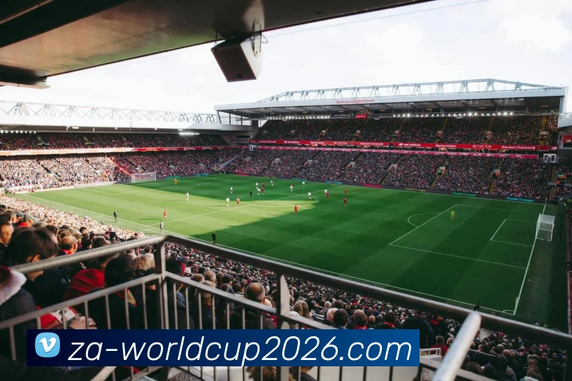 App Interface Preview